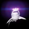 sharklover87